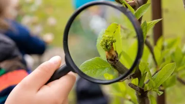 Zielona lekcja pod chmurką. Trzecioklasiści poprowadzili grę dla przedszkolaków