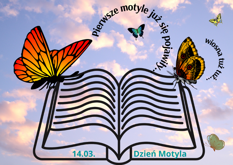 Dzień Motyla kolorowy 14 marca