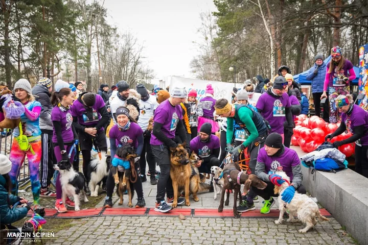 Grafika promocyjna wydarzenia 11 Bieg „Policz się z cukrzycą” — Bieg, Marsz Nordic Walking i Bieg z psem w Parku Miejskim