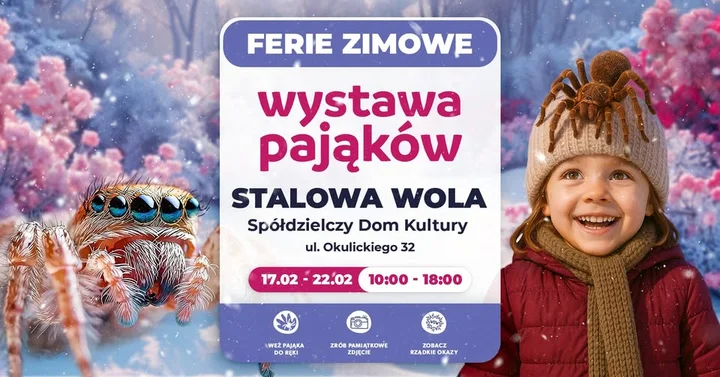Grafika promocyjna wydarzenia Wystawa Pająków w Stalowej Woli (17–22 lutego)
