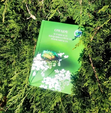 Podkarpackie owady pod lupą - książka, która zmienia spojrzenie na park