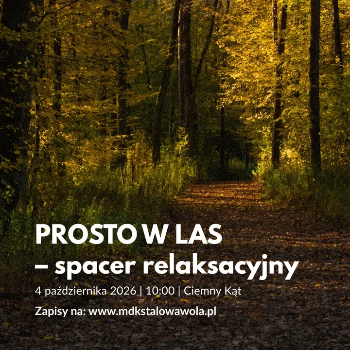 Jesienny reset w lesie. „Prosto w las” zaprasza na spacer