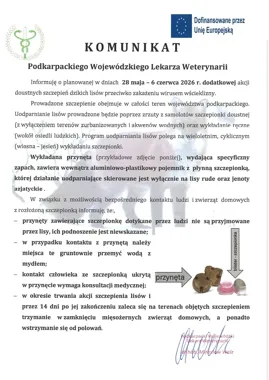 Szczepionka dla lisów pojawi się nad Podkarpaciem. Jest ważny apel do właścicieli zwierząt
