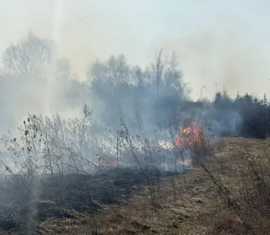 Podpalił trawy na granicy powiatów - rower i ucieczka nie uchroniły go przed mandatem