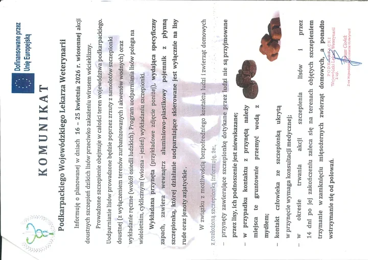 Lisy na Podkarpaciu znów dostaną szczepionkę z powietrza i z ręki