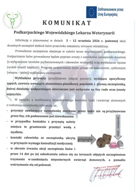 Samoloty zrzucą szczepionki dla lisów nad Podkarpaciem